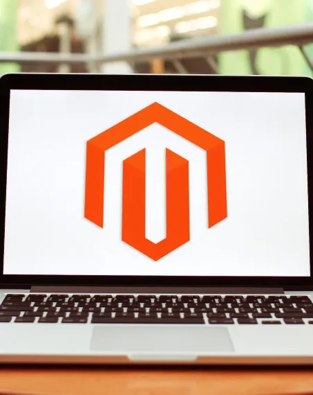 Magento Web Development