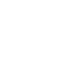Icon Flash