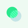 100% Transparent Process