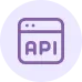 Integration and Customization of APIs